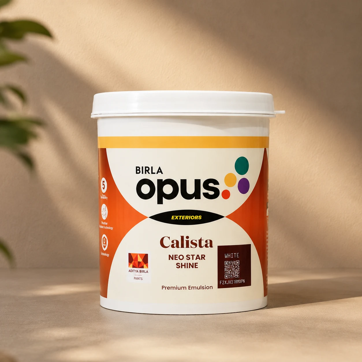 Exterior Paints